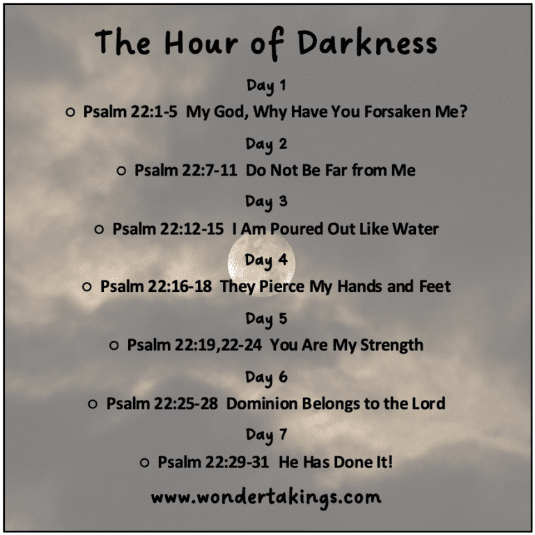 The Hour of Darkness | Wondertakings